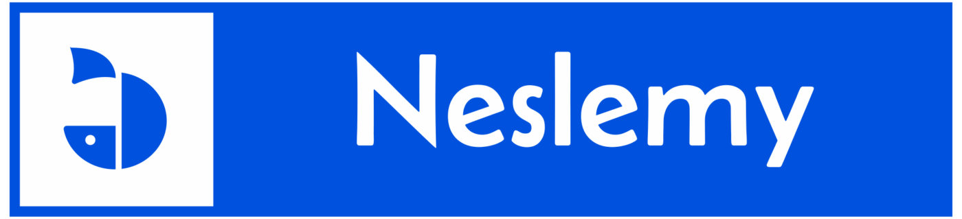 Boom-Neslemy