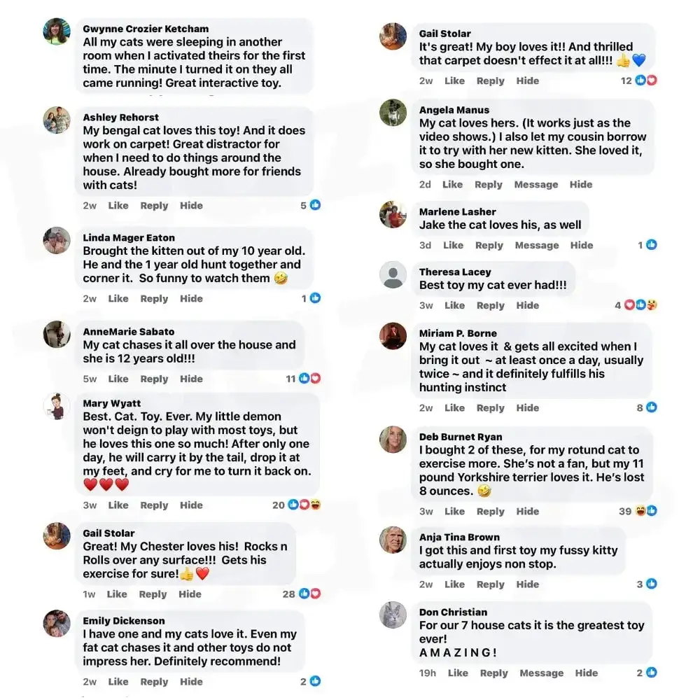 🔥Last Day 50% OFF - NESLEMY™ SPEEDY TAIL 2.0